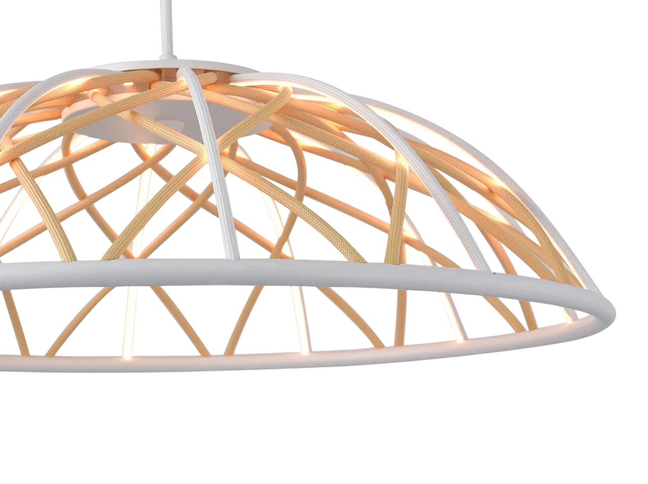 BLD-E0101-030 